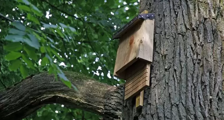 Guarding Rural & Wildlife-Adjacent Areas