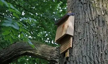 Guarding Rural & Wildlife-Adjacent Areas