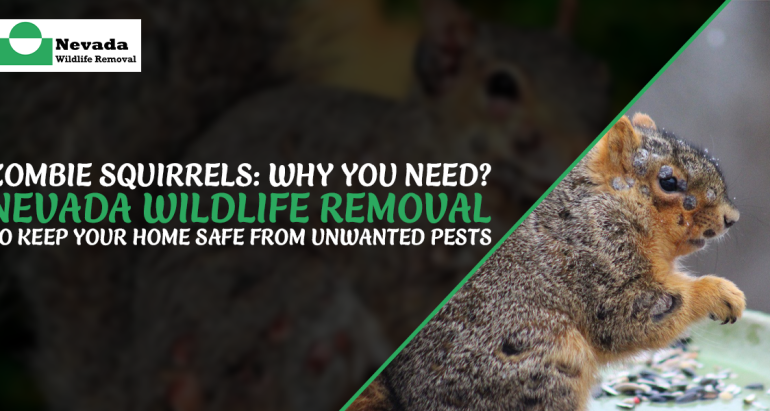 Zombie Squirrels: Why You Need Nevada Wildlife Removal to Keep Your Home Safe from Unwanted Pests