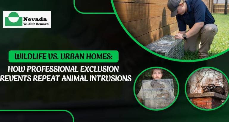 Wildlife vs. Urban Homes: How Professional Exclusion Prevents Repeat Animal Intrusions