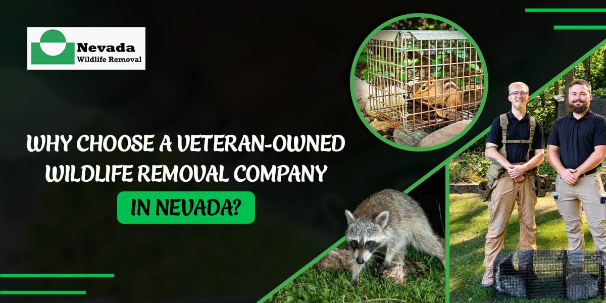 Why Choose a Veteran-Owned Wildlife Removal Company in Nevada?